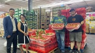 Hai tấn vải thiều tươi đầu vụ đắt khách tại các siêu thị bang Texas, Hoa Kỳ