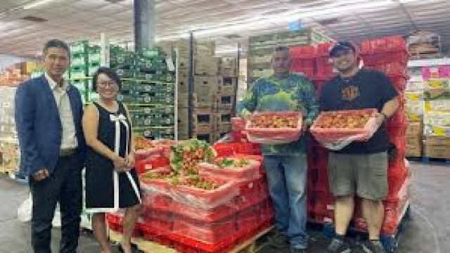 Hai tấn vải thiều tươi đầu vụ đắt khách tại các siêu thị bang Texas, Hoa Kỳ