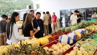 Doanh nghiệp Việt Nam – tỉnh Quảng Tây (Trung Quốc): Tăng cường cơ hội hợp tác trong lĩnh vực trái cây