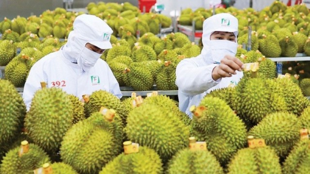 Duy trì đà tăng trưởng xuất khẩu nông sản