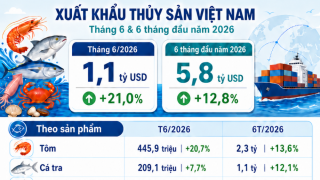 Đạt 5,8 tỷ USD, xuất khẩu thủy sản 6 tháng đầu năm 2026 duy trì tăng trưởng nhưng áp lực chi phí, thị trường và logistics còn lớn