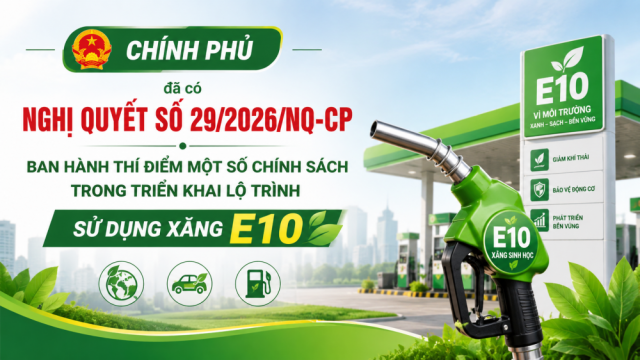 Ban hành thí điểm một số chính sách trong triển khai lộ trình sử dụng xăng E10