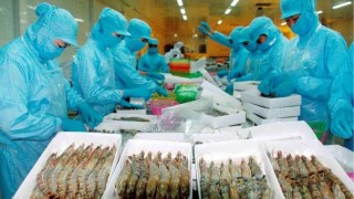 Doanh nghiệp thành lập mới tăng 70,7%: Lực đẩy từ Nghị quyết 68-NQ/TW