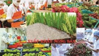Xuất siêu hơn 7 tỷ USD, ngành Nông nghiệp sẵn sàng kịch bản ứng phó biến động toàn cầu 
