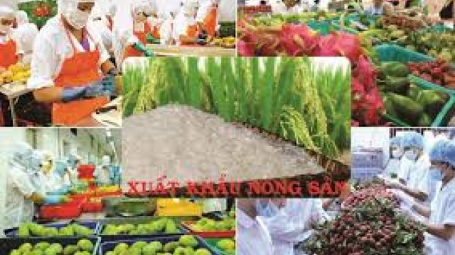 Xuất siêu hơn 7 tỷ USD, ngành Nông nghiệp sẵn sàng kịch bản ứng phó biến động toàn cầu 