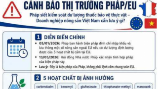 Nông sản Việt cần chú ý quy định mới về thực phẩm nhập khẩu tại Pháp