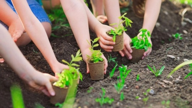 Vì một nền văn minh sinh thái, một việt nam xanh và một đại dương hòa bình, bền vững