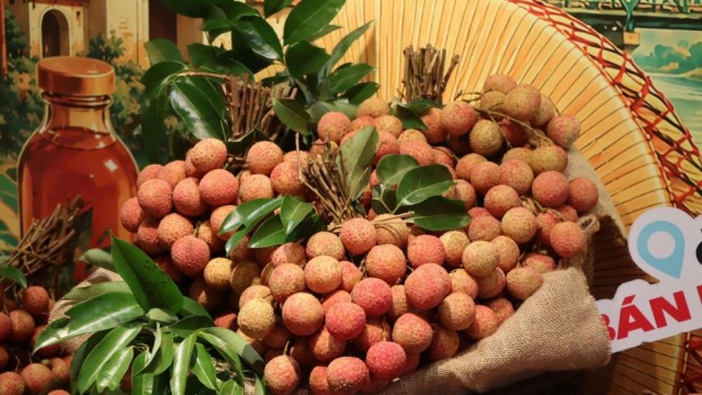 Bộ Công Thương đồng hành mở lối tiêu thụ nông sản vùng miền