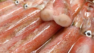 Xuất khẩu mực, bạch tuộc của Việt Nam bứt phá ở thị trường châu Á