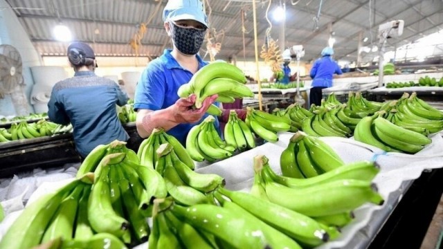 Doanh nghiệp làm gì để tránh rủi ro xuất khẩu sang Trung Quốc
