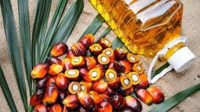 Indonesia sẽ thực hiện chính sách độc quyền nhà nước xuất khẩu than, dầu cọ
