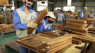 Chuyển đổi sang bền vững - thách thức lớn nhất của ngành xuất khẩu gỗ Việt