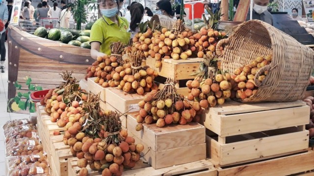 Vải thiều vào vụ thu hoạch, Hà Nội hỗ trợ các địa phương tiêu thụ