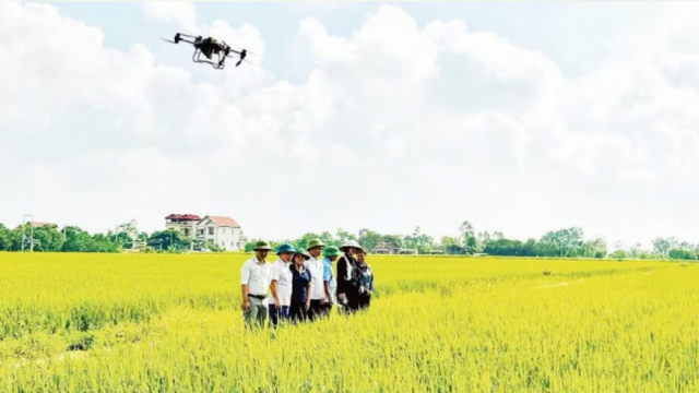 Tăng giá trị nông sản nhờ công nghệ số