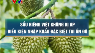 Sầu riêng Việt Nam đón tin vui từ thị trường tỷ dân Ấn Độ