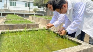 Khoa học công nghệ và hệ sinh thái giống: Đưa nông nghiệp Việt ra thế giới