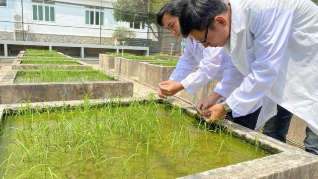 Khoa học công nghệ và hệ sinh thái giống: Đưa nông nghiệp Việt ra thế giới