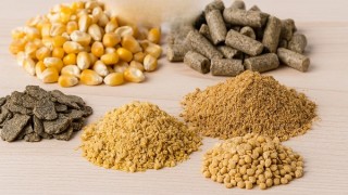 EU điều chỉnh mức dư lượng tối đa đối với hợp chất đồng trong thực phẩm và thức ăn chăn nuôi