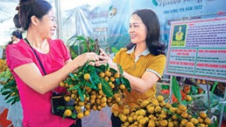 Mở rộng không gian hợp tác kinh tế - thương mại lưu vực sông Hồng