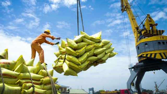 Giá gạo xuất khẩu tăng