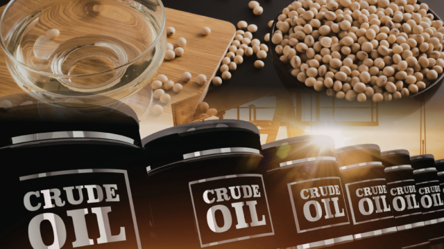 Thị trường dầu thô giằng co vì địa chính trị, giá dầu đậu tương lập đỉnh 3 năm