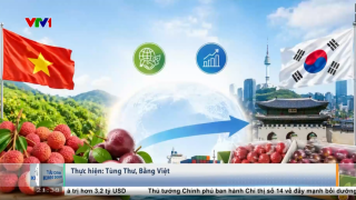 Việt Nam - Hàn Quốc: Hướng tới kim ngạch thương mại song phương đạt 150 tỷ USD vào năm 2030