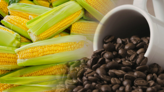 Lo ngại nguồn cung thúc đẩy lực mua, MXV-Index đảo chiều phục hồi