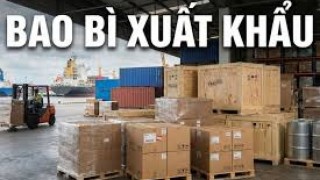 EU siết quy chuẩn bao bì: Áp lực chuyển đổi gia tăng với doanh nghiệp