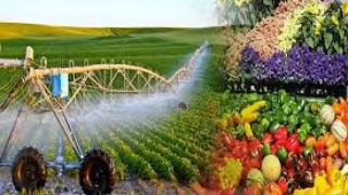 Việt Nam và Hoa Kỳ đẩy mạnh phát triển lĩnh vực nông nghiệp