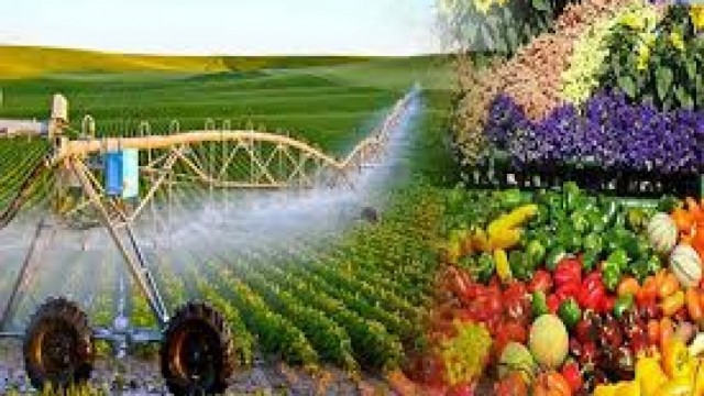 Việt Nam và Hoa Kỳ đẩy mạnh phát triển lĩnh vực nông nghiệp