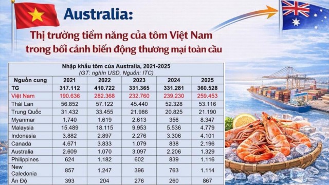 Australia: Thị trường tiềm năng của tôm Việt Nam trong bối cảnh biến động thương mại toàn cầu