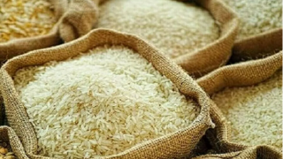 Giá gạo châu Á giảm do chi phí vận tải tăng mạnh