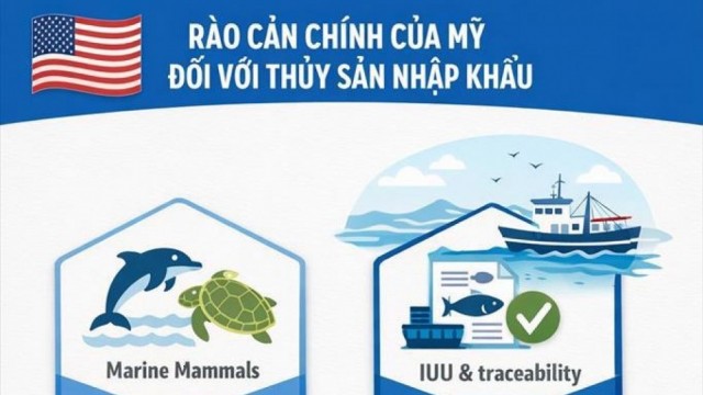 Mỹ tăng cường kiểm soát thủy sản nhập khẩu: Doanh nghiệp cần thận trọng với rủi ro kháng sinh, HACCP và truy xuất nguồn gốc