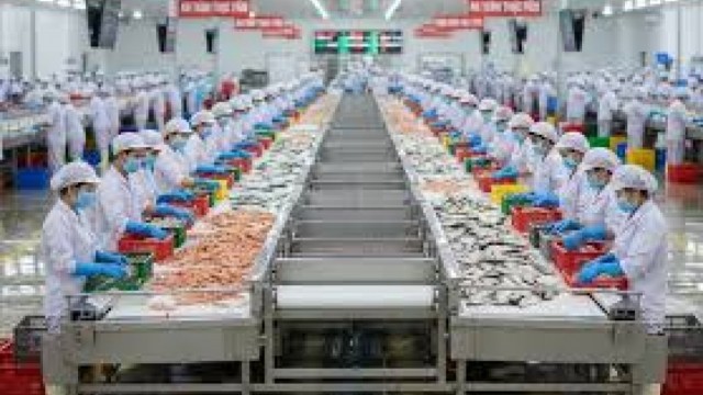 Doanh nghiệp thuỷ sản cần lưu ý gì khi xuất khẩu thuỷ sản sang EU trong năm 2026