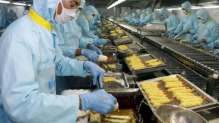 Xuất khẩu tôm tháng 1/2026: Tăng tốc đầu năm, tâm lý thị trường ổn định hơn sau POR19