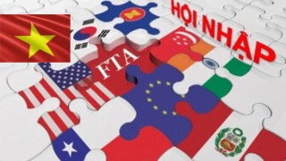 Diễn biến thương mại Việt Nam trong khuôn khổ các Hiệp định FTA