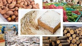 Bản tin Thông tin thương mại chuyên ngành Tổng hợp và Dự báo
