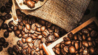 Bản tin Thị trường nông, lâm, thủy sản số ra ngày 11/12/2025