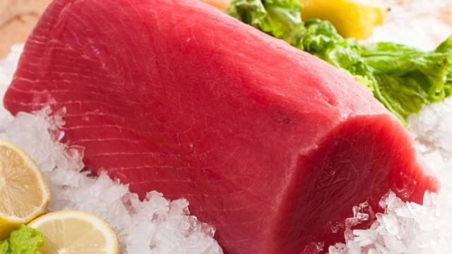 EU siết chặt quy định đông lạnh cá ngừ dùng cho tiêu thụ trực tiếp từ năm 2026