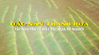 Đặc sản Thanh Hóa: Tài nguyên từ đất - Tài hoa từ người