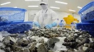 Tổng hợp, phân tích và cung cấp thông tin về tình hình hợp tác giao thương đối với mặt hàng thuỷ sản của Việt Nam với thị trường CPTPP  trong tháng 11/2025 