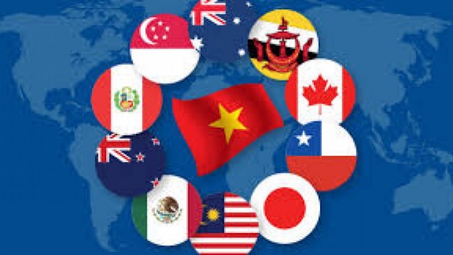 Tổng hợp, đánh giá và phân tích thông tin tổng quan về tình hình hợp tác, giao thương của Việt Nam với thị trường thành viên CPTPP trong 4 tháng đầu năm 2025