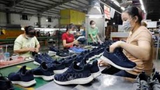 Tổng hợp, phân tích, đánh giá tình hình thực thi hiệp định EVFTA trong hoạt động xuất khẩu Giày dép của Việt Nam sang thị trường EU trong 11 tháng đầu năm 2025