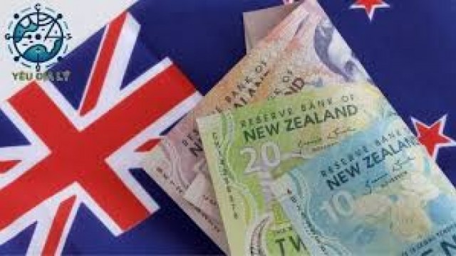 Tổng hợp, phân tích và cung cấp thông tin về hoạt động thương mại giữa Việt Nam với thị trường New Zealand trong 8 tháng đầu năm 2025, đánh giá triển vọng và dự báo