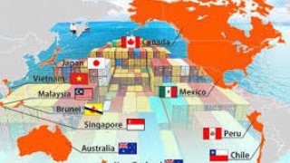 Tổng hợp, phân tích và cung cấp thông tin về tình hình hợp tác, giao thương đối với thị trường thành viên CPTPP trong 9 tháng đầu năm 2025