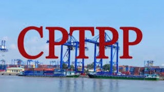 Tổng hợp, phân tích và cung cấp thông tin về tình hình hợp tác, giao thương đối với thị trường thành viên CPTPP trong 8 tháng đầu năm 2025