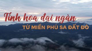 Tinh hoa đại ngàn từ miền phù sa đất đỏ