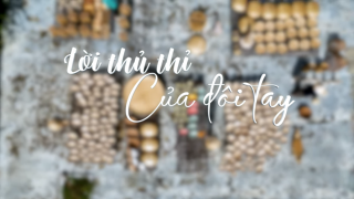 Lời thủ thỉ của đôi tay