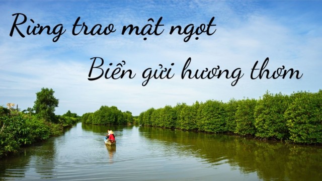 Rừng trao mật gọt - Biển gửi hương thơm