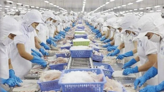 Xuất khẩu nông lâm thủy sản 11 tháng vượt kỷ lục năm 2024